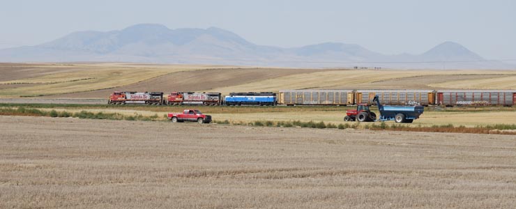 GN 441 east of Chester, Montana